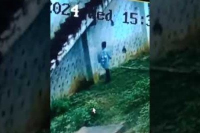 देखिए विडियो,, एक और साई मंदिर में चोरी,सीसीटीवी में चोर की हरकत हुई कैद