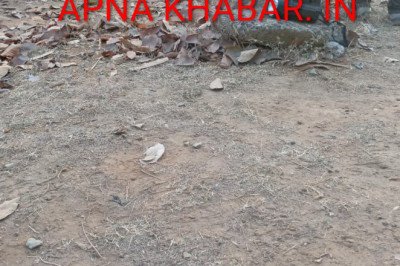 कोरबा बड़ी खबर,,होली की खुशियाँ मातम में बदली,,,फिर हुआ हाथी का हमला, धान मंडी प्रभारी की कुचलकर मौत — विभागीय लापरवाही पर भड़के कर्मचारी…