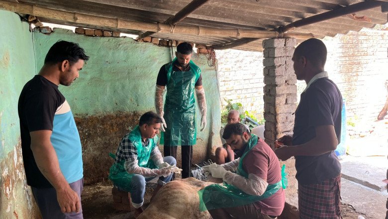 कोरबा,,,, देवदूत बन कर आये डॉक्टरो ने गौ माता के जीवन को बचाया,,,,