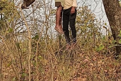 बिग ब्रेकिंग कोरबा,,,, दो दोस्तों ने एक पेड़ पर फांसी लगा कर दी जान...मृतको की हुई पहचान .